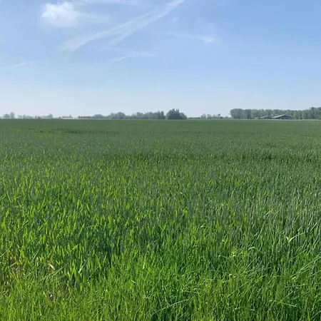 In With Stunning Sea Views, Cleaning Included * Nieuwpoort